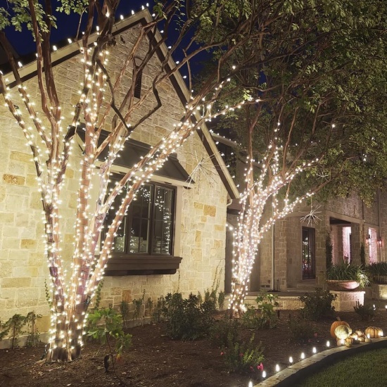 Christmas Light Installation Dallas TX